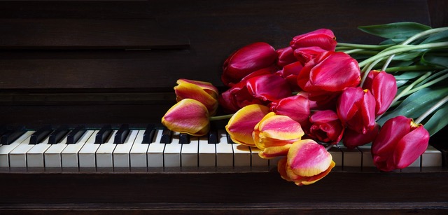 tulips on piano
