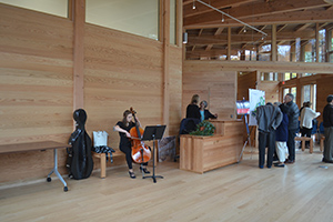 2016 walden cello 300 x 200